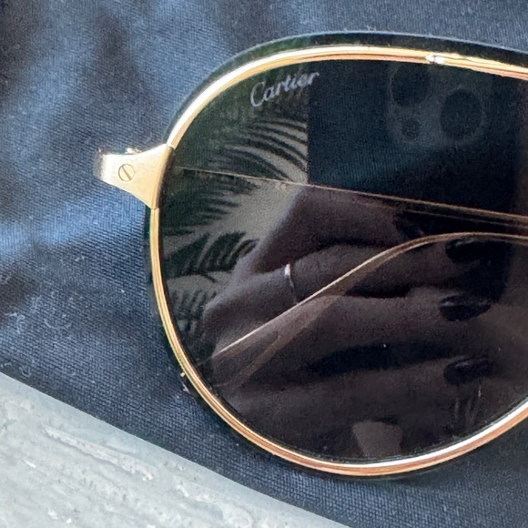 Cartier Santos De Cartier Sunglasses - Picture 4 of 9